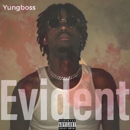 Album cover of Evident
