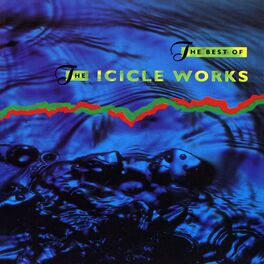Album cover of The Best of The Icicle Works