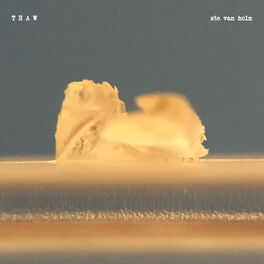 Album cover of Thaw