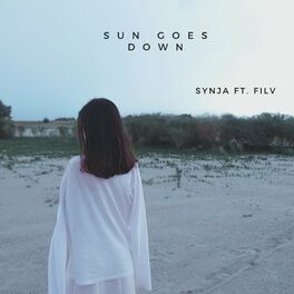 Album cover of Sun Goes Down (feat. FILV)