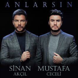 Album cover of Anlarsın