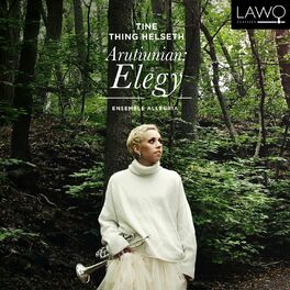 Album cover of Elegy (2000)