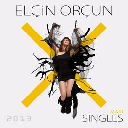 Album cover of Maxi Single 2013