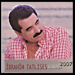 Album cover of Türküler 2007