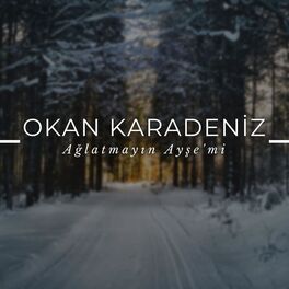Album cover of Ağlatmayın Ayşemi