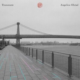 Album cover of Transmute