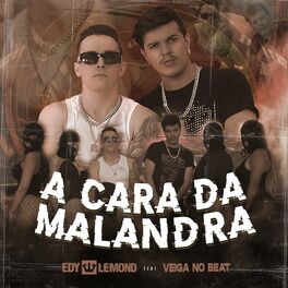 Album cover of A Cara da Malandra