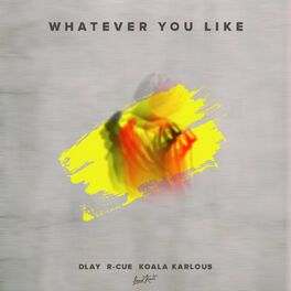 Album cover of Whatever You Like
