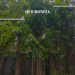 Album cover of QUE BONITA