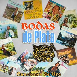 Album cover of Bodas de Plata, Canciones de Oro