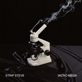 Album cover of Micro Mega