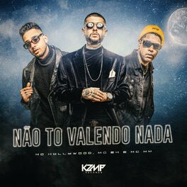 Album cover of Não To Valendo Nada