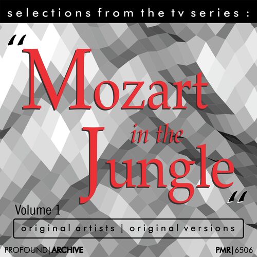 Various Artists Selections From The Tv Serie Mozart In The Jungle Volume 1 Lyrics And Songs Deezer