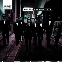 Album cover of Bach Motets