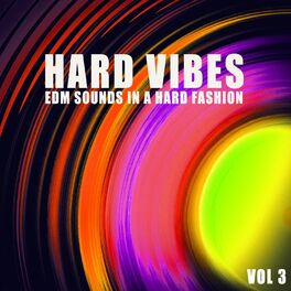Album cover of Hard Vibes, Vol. 3