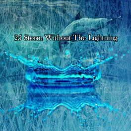 Album cover of 25 Storm Without The Lightning