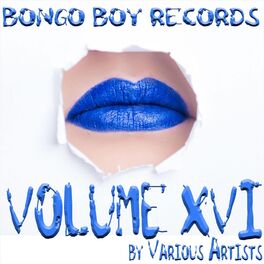 Album cover of Volume XVI
