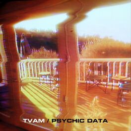 Album cover of Psychic Data