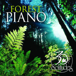 Album cover of Forest Piano 30th Anniversary