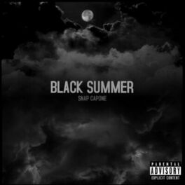 Album cover of Black Summer
