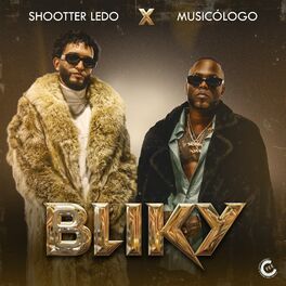 Album cover of Bliky
