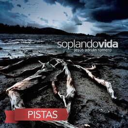 Album cover of Soplando Vida (Pistas) [Instrumental]