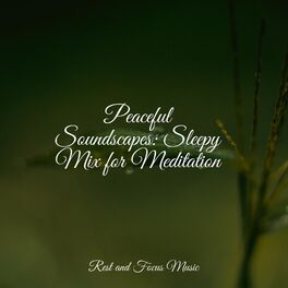Album cover of Peaceful Soundscapes: Sleepy Mix for Meditation