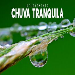 Album cover of Chuva Tranquila