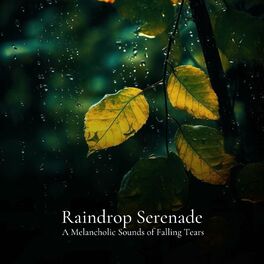 Album cover of #01 Raindrop Serenade, A Melancholic Sounds of Falling Tears