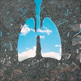 Album cover of Lungs