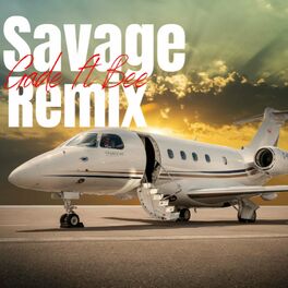 Album cover of Savage Remx (feat. Meg & Q Bee)