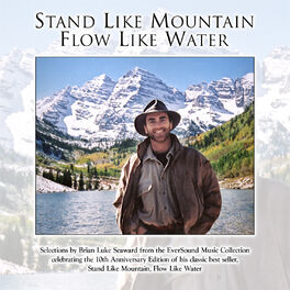 Album cover of Stand Like Mountain, Flow Like Water