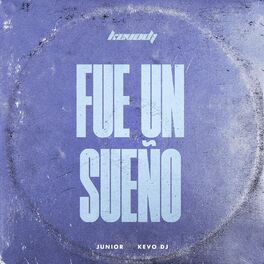 Album cover of Fue un Sueño (Remix)