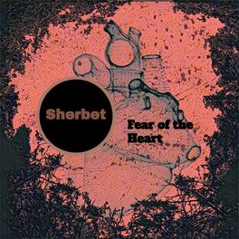 Album cover of Fear of the Heart