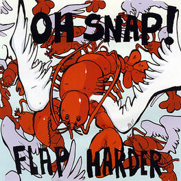 Album cover of Flap Harder