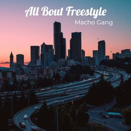 Album cover of All Bout Freestyle