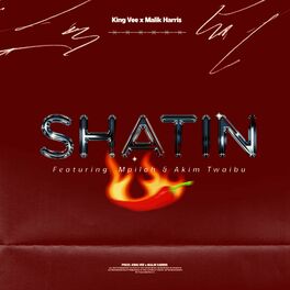 Album cover of Shatin (feat. Malik Harris, Mpiloh & Akim Twaibu)