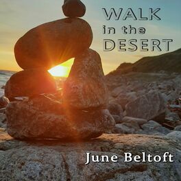 Album cover of Walk in the Desert