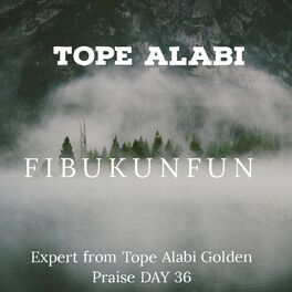 Album cover of FIBUKUNFUN (Live)