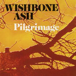 Album cover of Pilgrimage