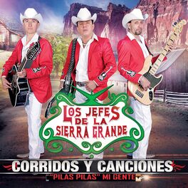 Album cover of Corridos y Canciones