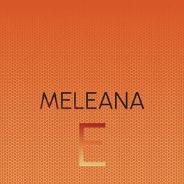 Album cover of Meleana E