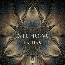 Album cover of DECHOVU