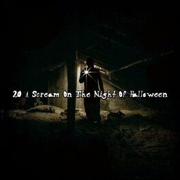 Album cover of 20 A Scream On The Night Of Halloween