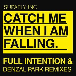 Album cover of Catch Me When Im Falling