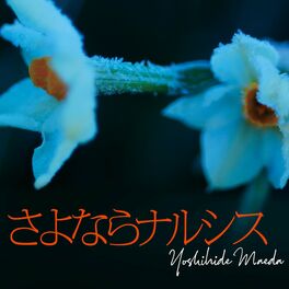Album cover of Goodbye Narcissus (feat. Satsuya Iwasawa & Makoto Matsushita)