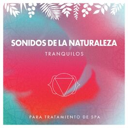 Album cover of zZz Sonidos de la Naturaleza Tranquilos para Tratamiento de Spa zZz
