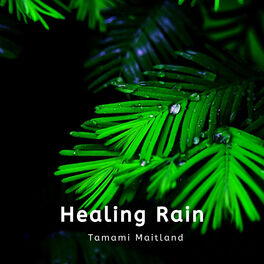 Album cover of Healing Rain
