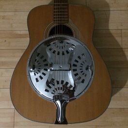 liberty copperhead resonator guitar