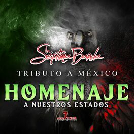 Album cover of Tributo a México Homenaje A Nuestros Estados